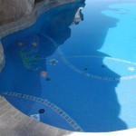 Perimeter & Inlaid Tile for Viking Fiberglass Swimming Pools 68