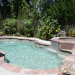 Laguna freeform inground fiberglass pool with medium-size curved design, shallow entry steps and concrete pool deck in a private fenced backyard